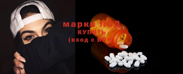 шишки Володарск
