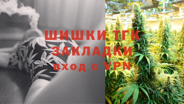 шишки Володарск