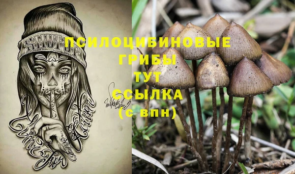 шишки Володарск