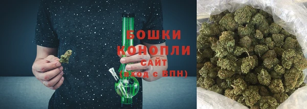шишки Володарск