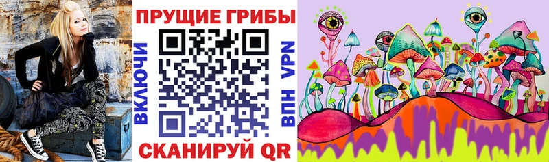 где купить наркотик  Мариинск  кракен рабочий сайт  Галлюциногенные грибы мицелий 